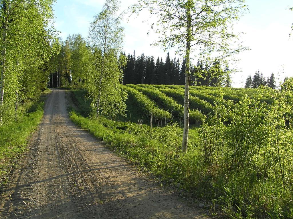 Huvilaranta Villas Isojarvi Rum bild