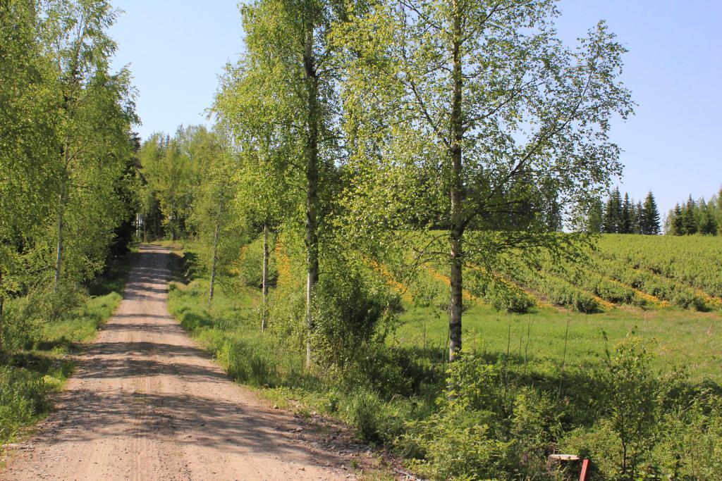 Huvilaranta Villas Isojarvi Exteriör bild