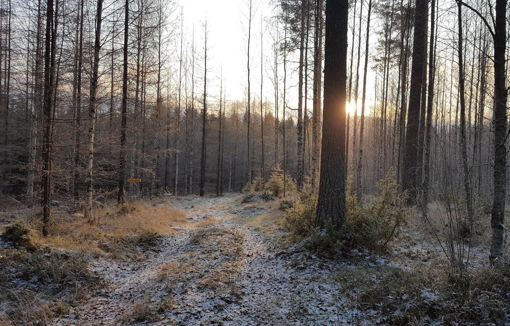 Huvilaranta Villas Isojarvi Exteriör bild