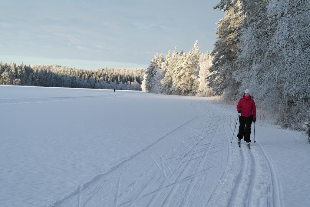Huvilaranta Villas Isojarvi Exteriör bild
