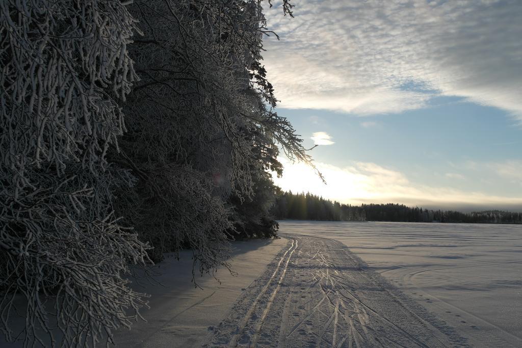 Huvilaranta Villas Isojarvi Exteriör bild